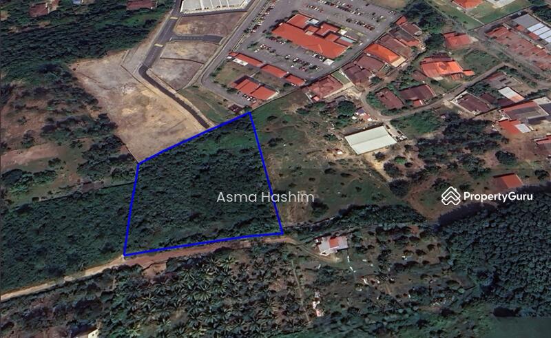 For Sale - Rembia melacca