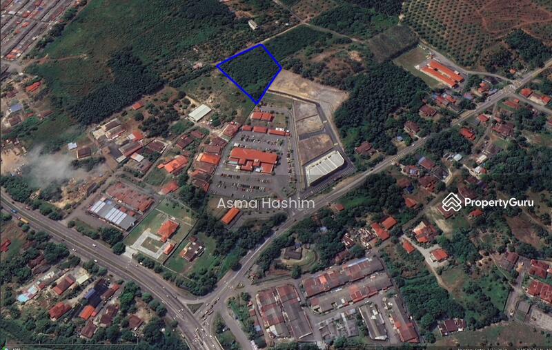 For Sale - Rembia melacca