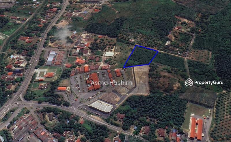 For Sale - Rembia melacca