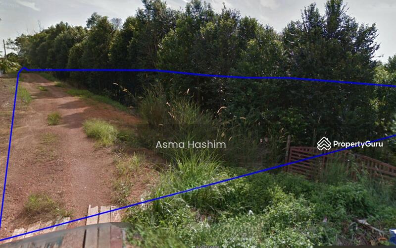 For Sale - Rembia melacca