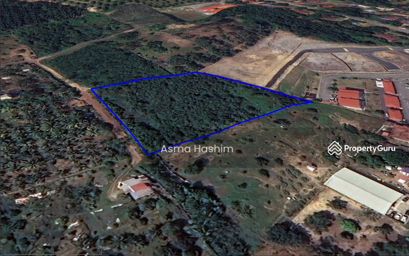 For Sale - Rembia melacca