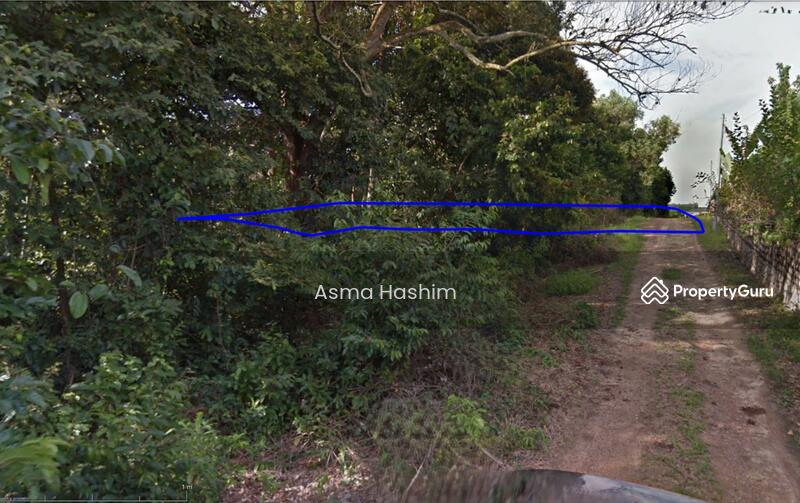 For Sale - Rembia melacca