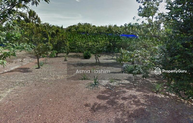 For Sale - Rembia melacca