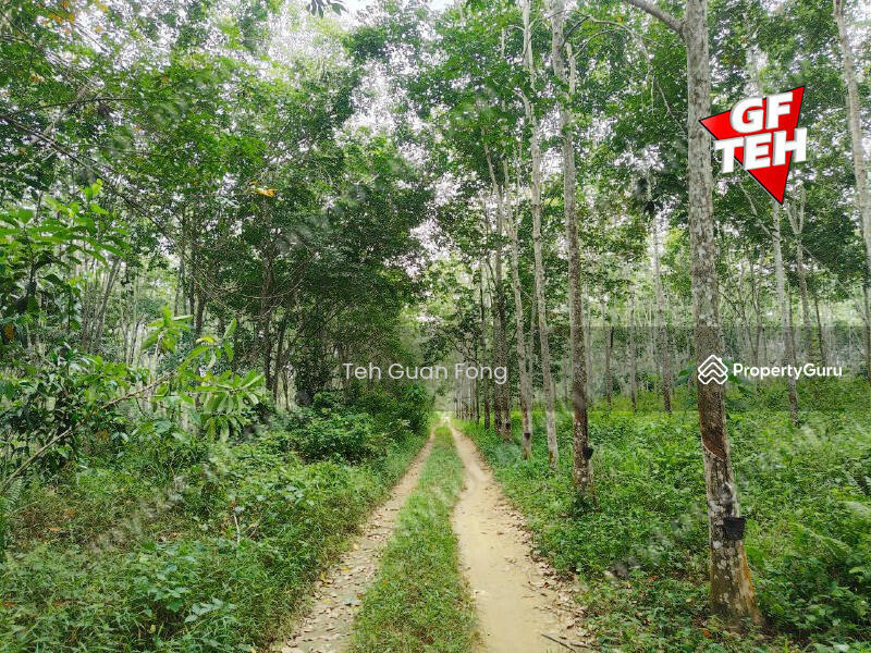 Tanah Pertanian untuk Dijual di Kampung Tersusun Sungai Buloh (Sungai Siput) - Teh Guan Fong - PropertyGuru.com.my