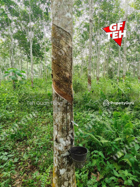 Tanah Pertanian untuk Dijual di Kampung Tersusun Sungai Buloh (Sungai Siput) - Teh Guan Fong - PropertyGuru.com.my