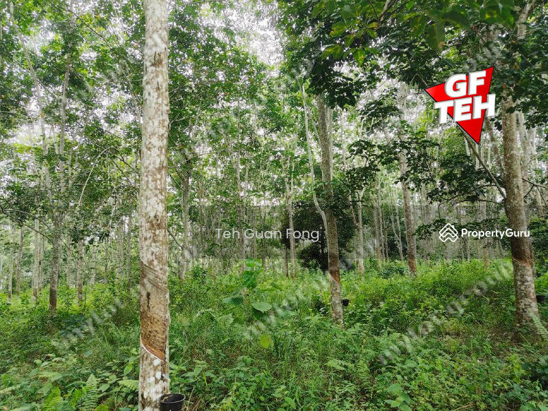 Tanah Pertanian untuk Dijual di Kampung Tersusun Sungai Buloh (Sungai Siput) - Teh Guan Fong - PropertyGuru.com.my