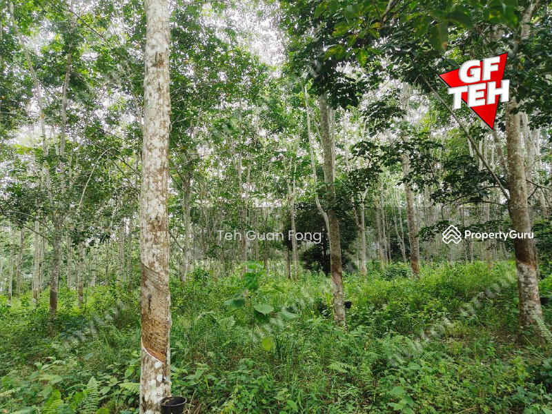 Tanah Pertanian untuk Dijual di Kampung Tersusun Sungai Buloh (Sungai Siput) - Teh Guan Fong - PropertyGuru.com.my