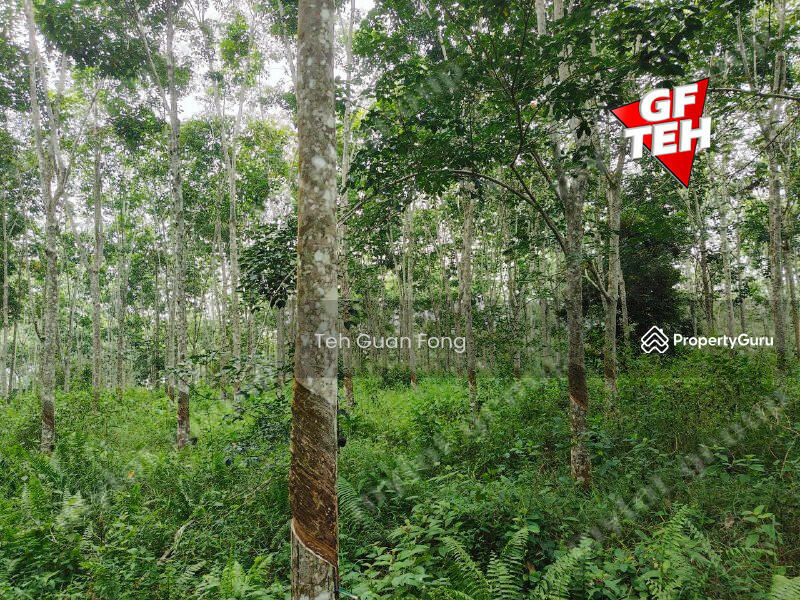 Tanah Pertanian untuk Dijual di Kampung Tersusun Sungai Buloh (Sungai Siput) - Teh Guan Fong - PropertyGuru.com.my