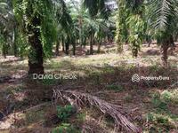 For Sale - LINGGI