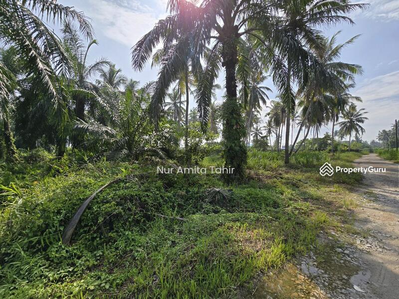 For Sale - Kampung Bukit Kapar