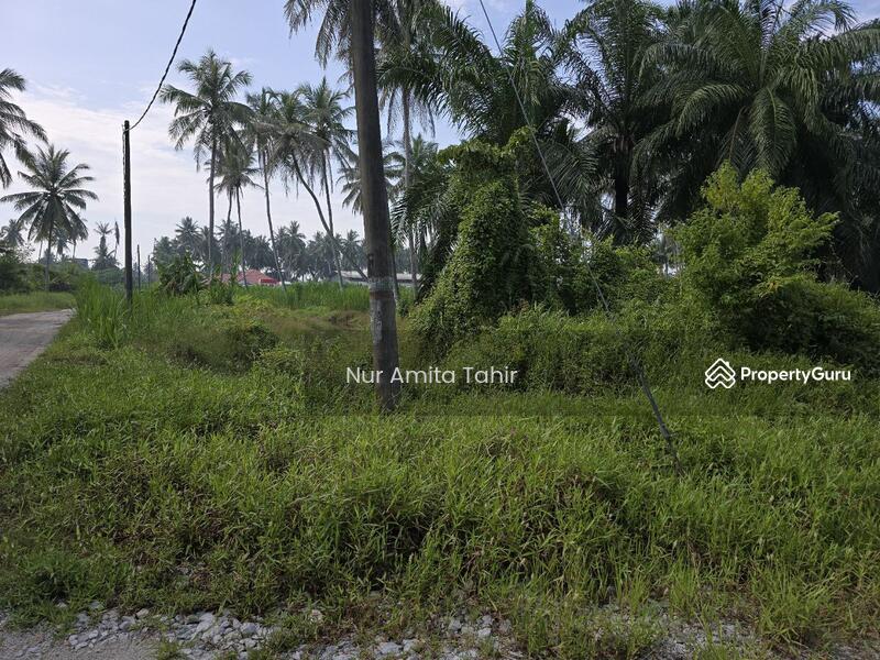 For Sale - Kampung Bukit Kapar