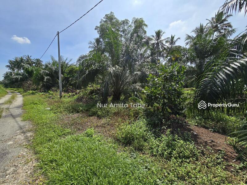 For Sale - Kampung Bukit Kapar