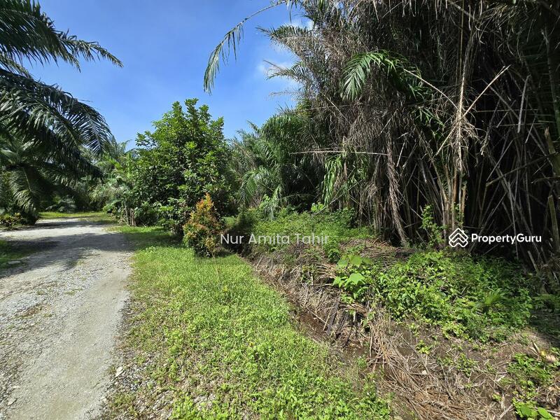 For Sale - Kampung Bukit Kapar
