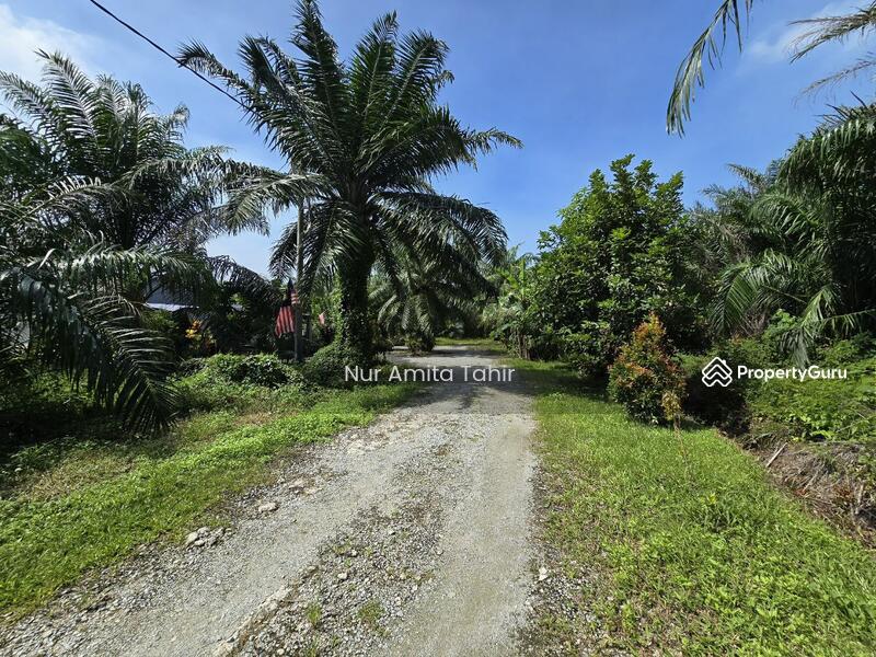 For Sale - Kampung Bukit Kapar