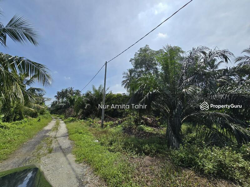 For Sale - Kampung Bukit Kapar