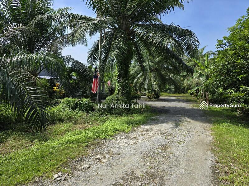 For Sale - Kampung Bukit Kapar