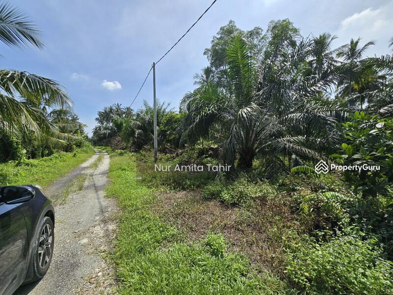 For Sale - Kampung Bukit Kapar