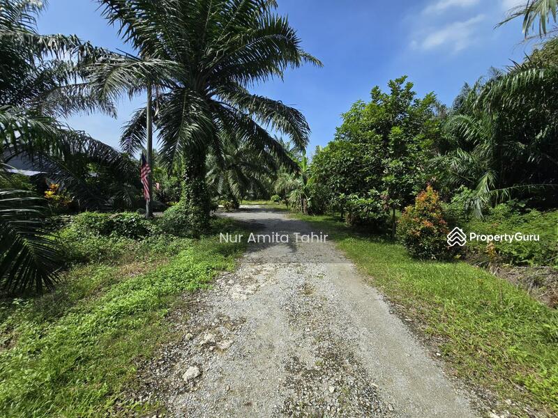 For Sale - Kampung Bukit Kapar