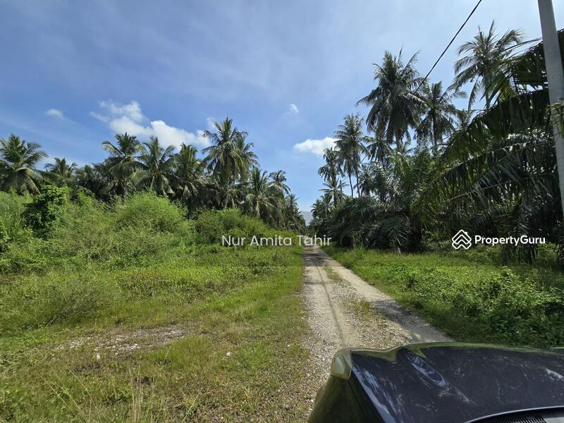 For Sale - Kampung Bukit Kapar