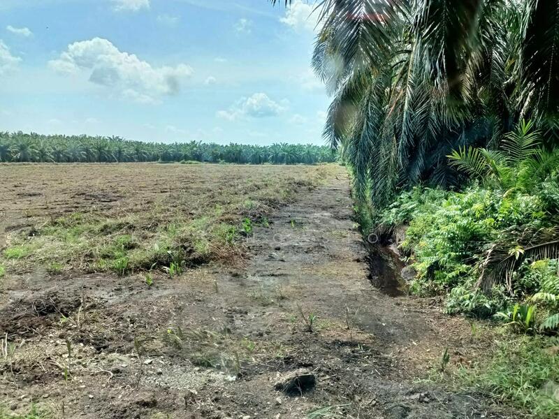 Agricultural Land for Rent in Taman Kuala Selangor (Kuala Selangor) - Lee Sing Siong - PropertyGuru.com.my