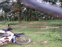 For Sale - WORTH DEAL // REMBAU // EXISTING PALM OIL LAND // 10.50 ACRE