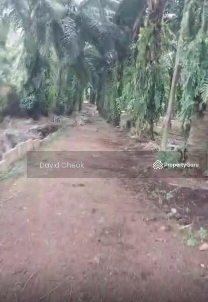 For Sale - Worth Deal // Sendayan // Spring Hills With Palm Oil // 4.1 Acre
