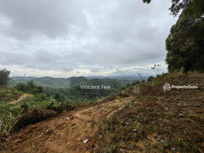 Untuk Dijual - 125 Acre Freehold Agriculture Land Kuala Pilah
