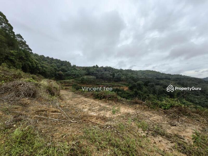 Untuk Dijual - 125 Acre Freehold Agriculture Land Kuala Pilah