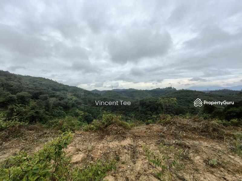 Untuk Dijual - 125 Acre Freehold Agriculture Land Kuala Pilah