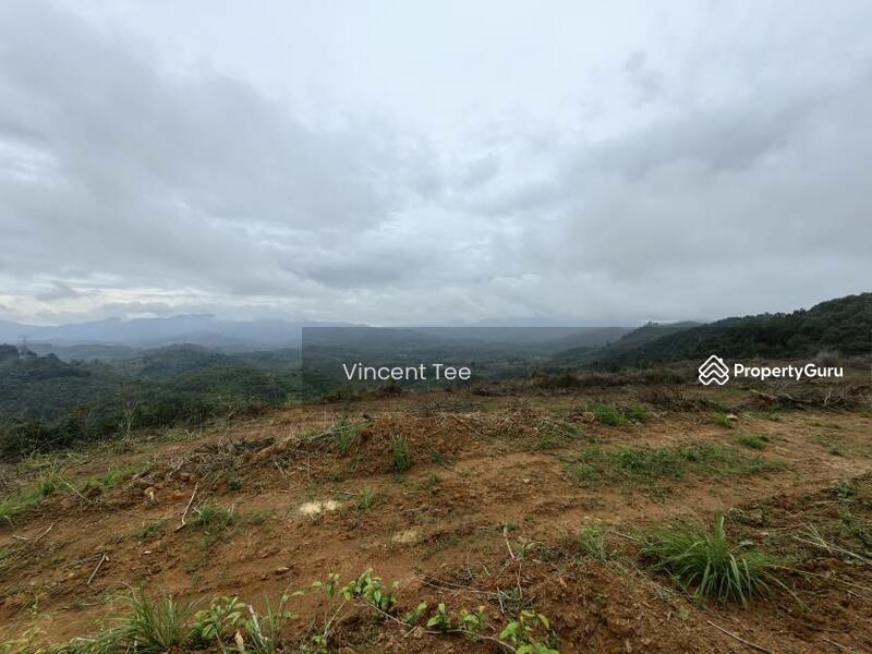 Untuk Dijual - 125 Acre Freehold Agriculture Land Kuala Pilah
