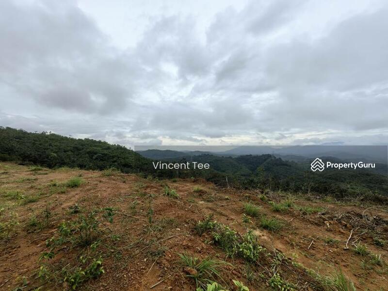 Untuk Dijual - 125 Acre Freehold Agriculture Land Kuala Pilah