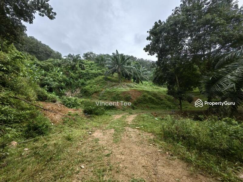 Untuk Dijual - 125 Acre Freehold Agriculture Land Kuala Pilah