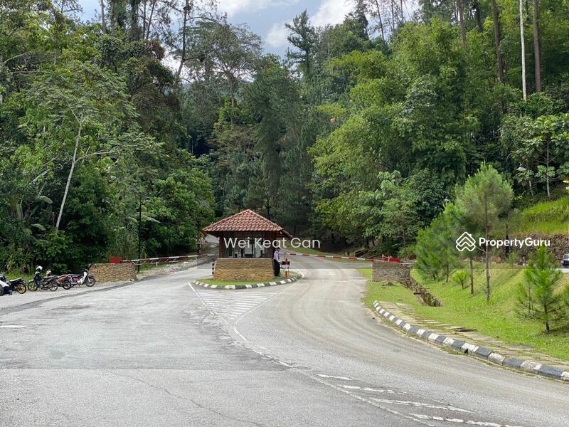 For Sale - Tanarimba