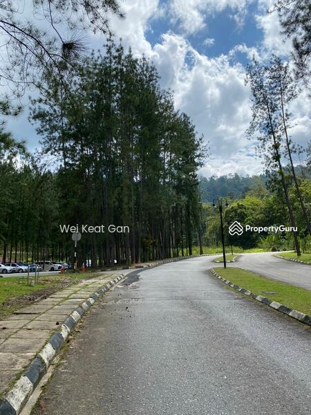 For Sale - Tanarimba