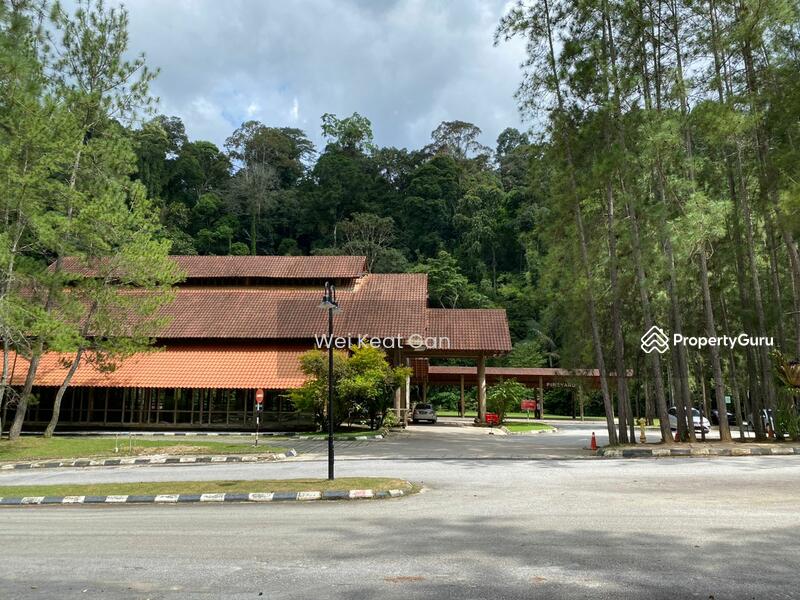 For Sale - Tanarimba