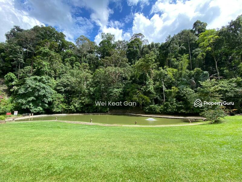 For Sale - Tanarimba