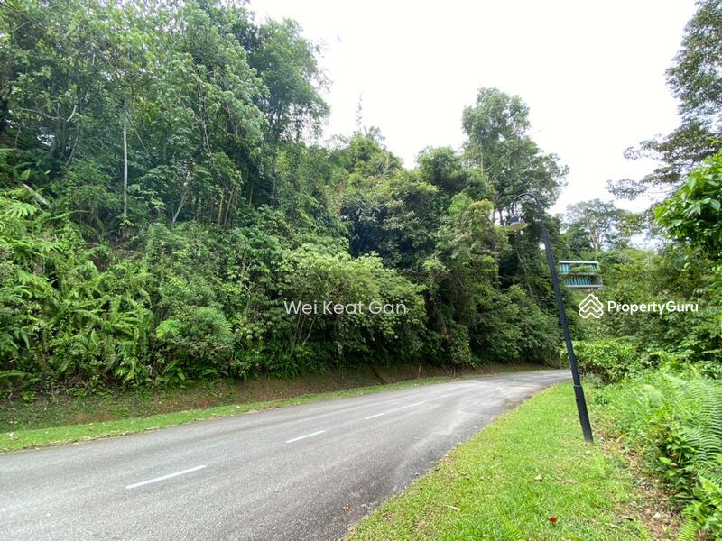 For Sale - Tanarimba