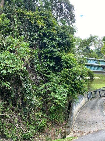 For Sale - Tanarimba