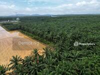 For Sale - Semeling Agricultural Land