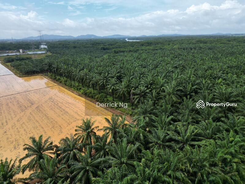 For Sale - Semeling Agricultural Land