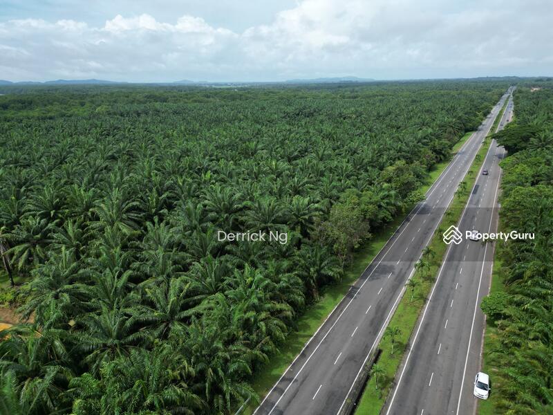 For Sale - Semeling Agricultural Land