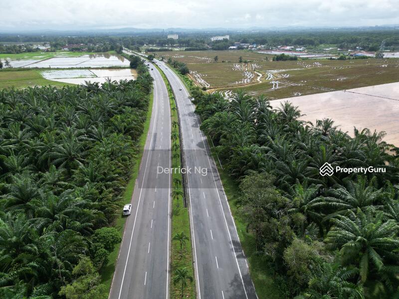 For Sale - Semeling Agricultural Land