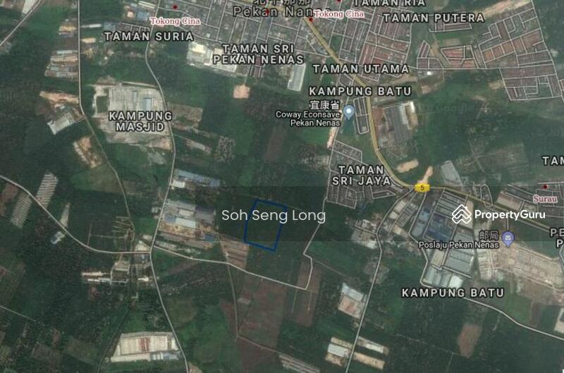 Untuk Dijual - Pekan Nenas