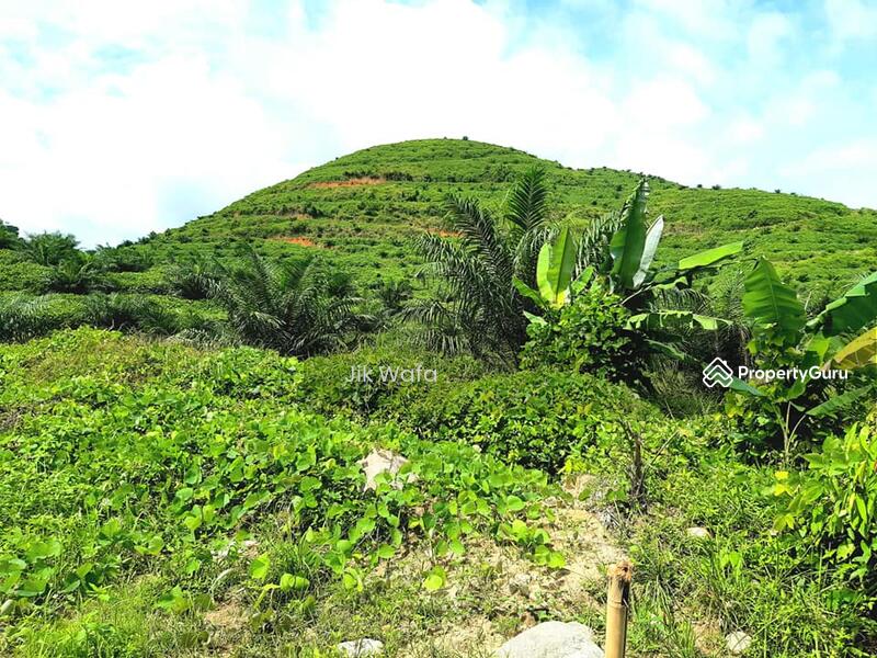 For Sale - 955 ac non bumi plantation in Sg Siput