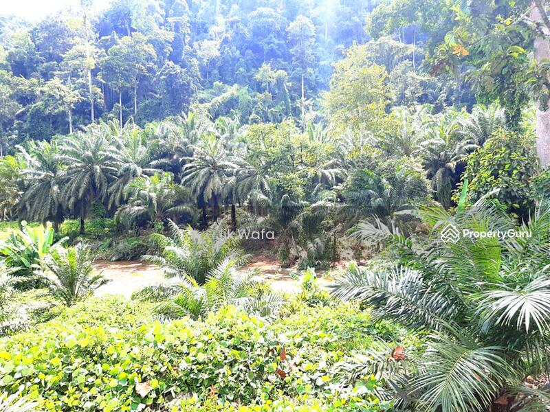 For Sale - 955 ac non bumi plantation in Sg Siput