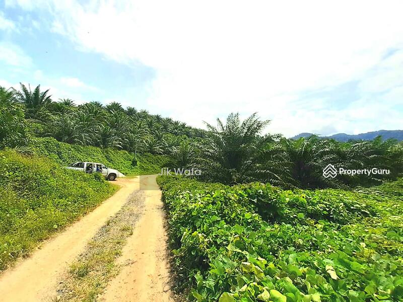 For Sale - 955 ac non bumi plantation in Sg Siput