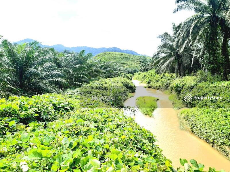 For Sale - 955 ac non bumi plantation in Sg Siput