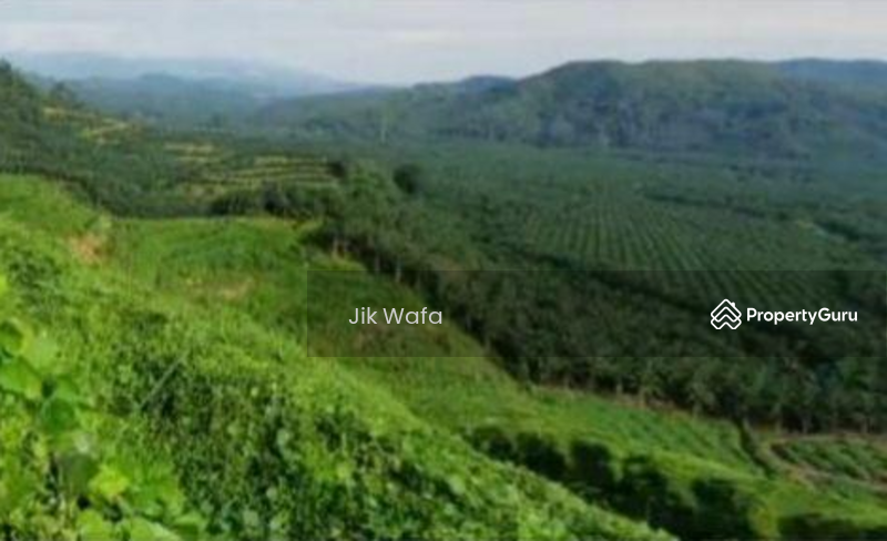 For Sale - 955 ac non bumi plantation in Sg Siput