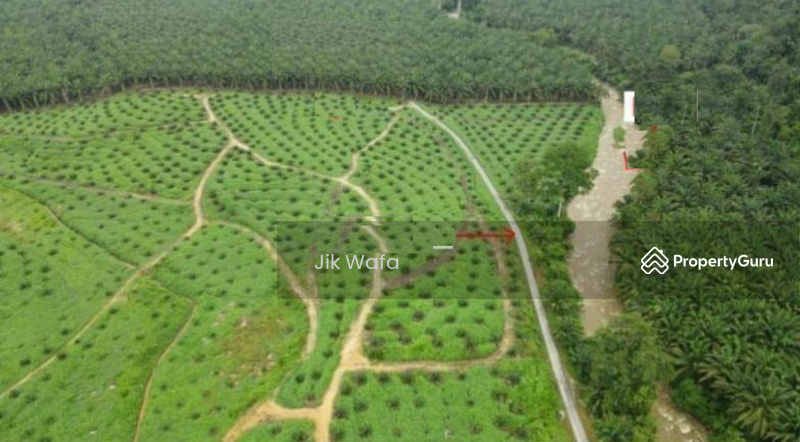 For Sale - 955 ac non bumi plantation in Sg Siput