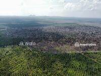 For Sale - 1779 acres bare land in Kuala Rompin, Pahang